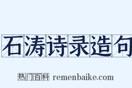 石涛诗录造句是什么意思的图片